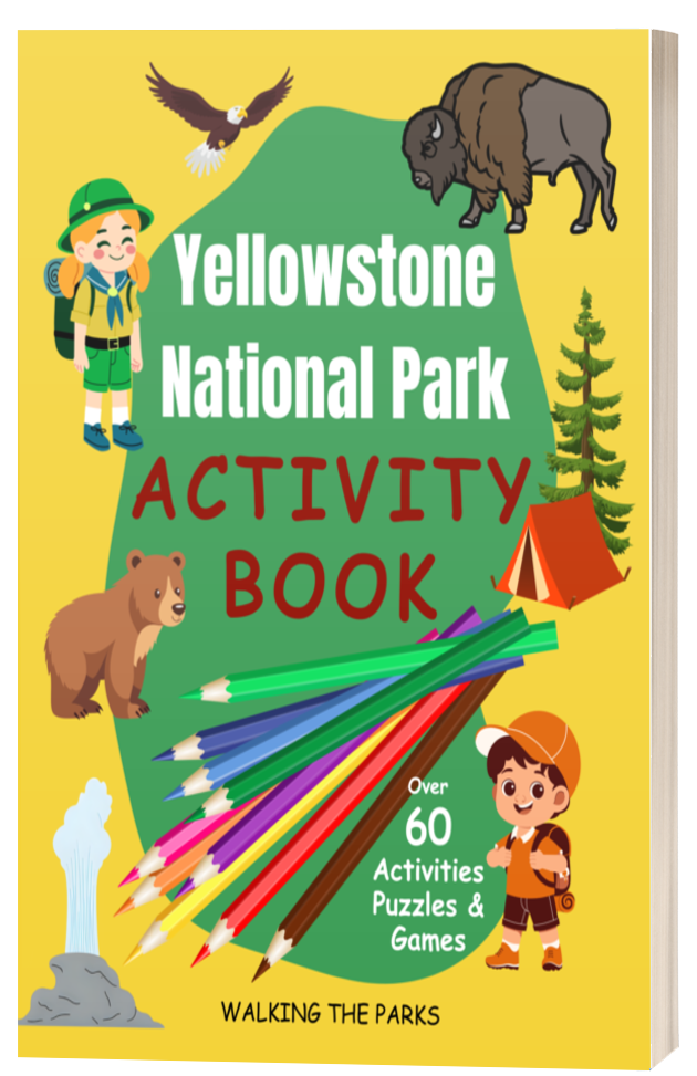 Yellowstone Activity Book for Kids