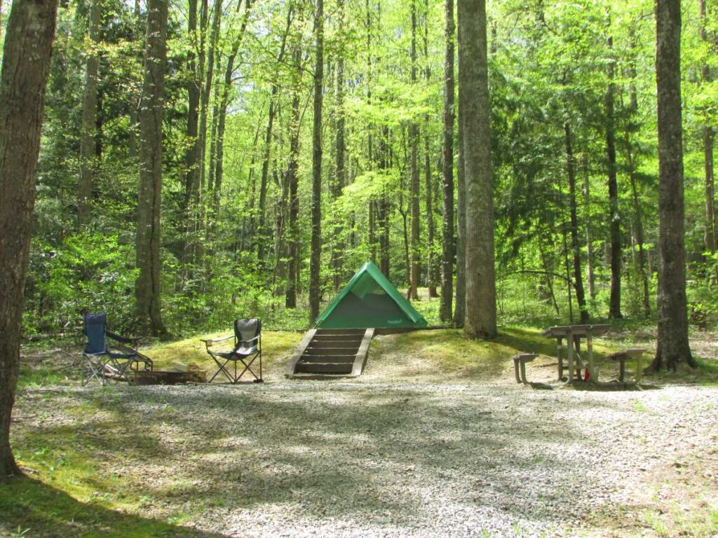 Green tent on gravel pad under vivid green trees