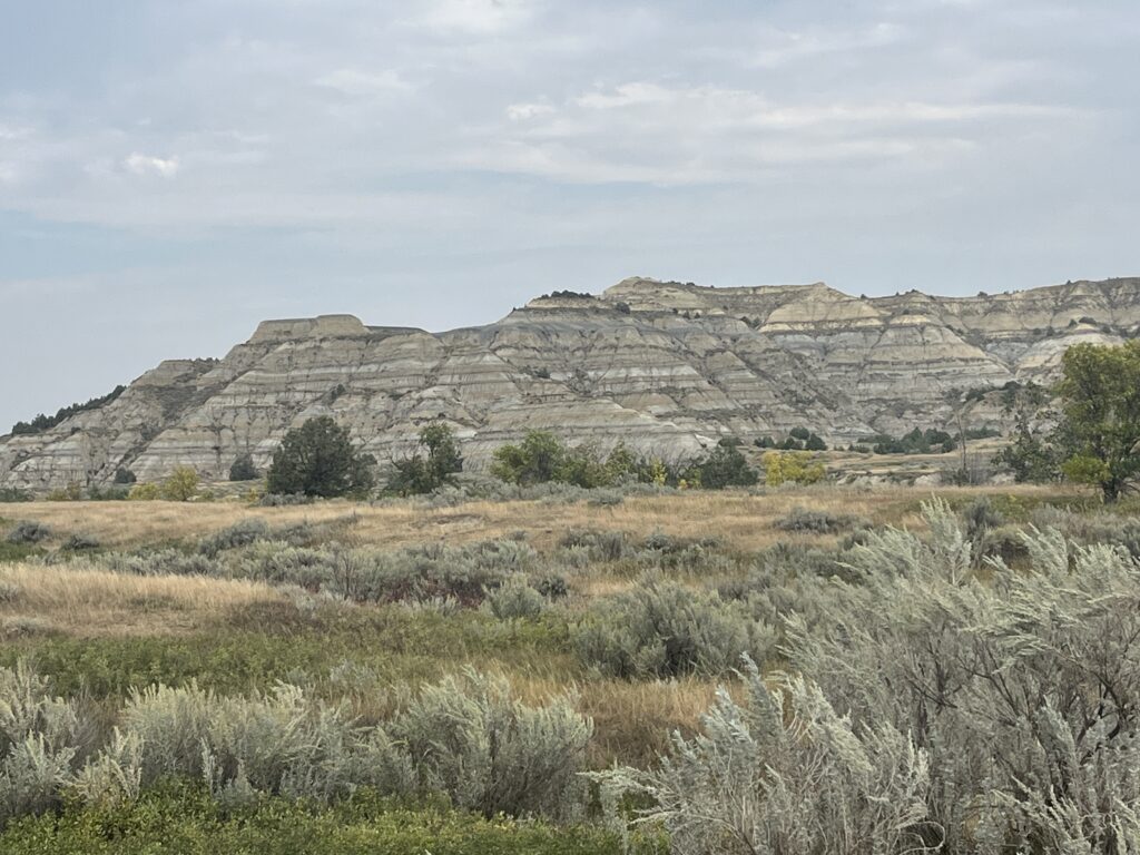 Prairie grass foreground with badlands of Theodore Roosevelt National Park in background. Blue Skies