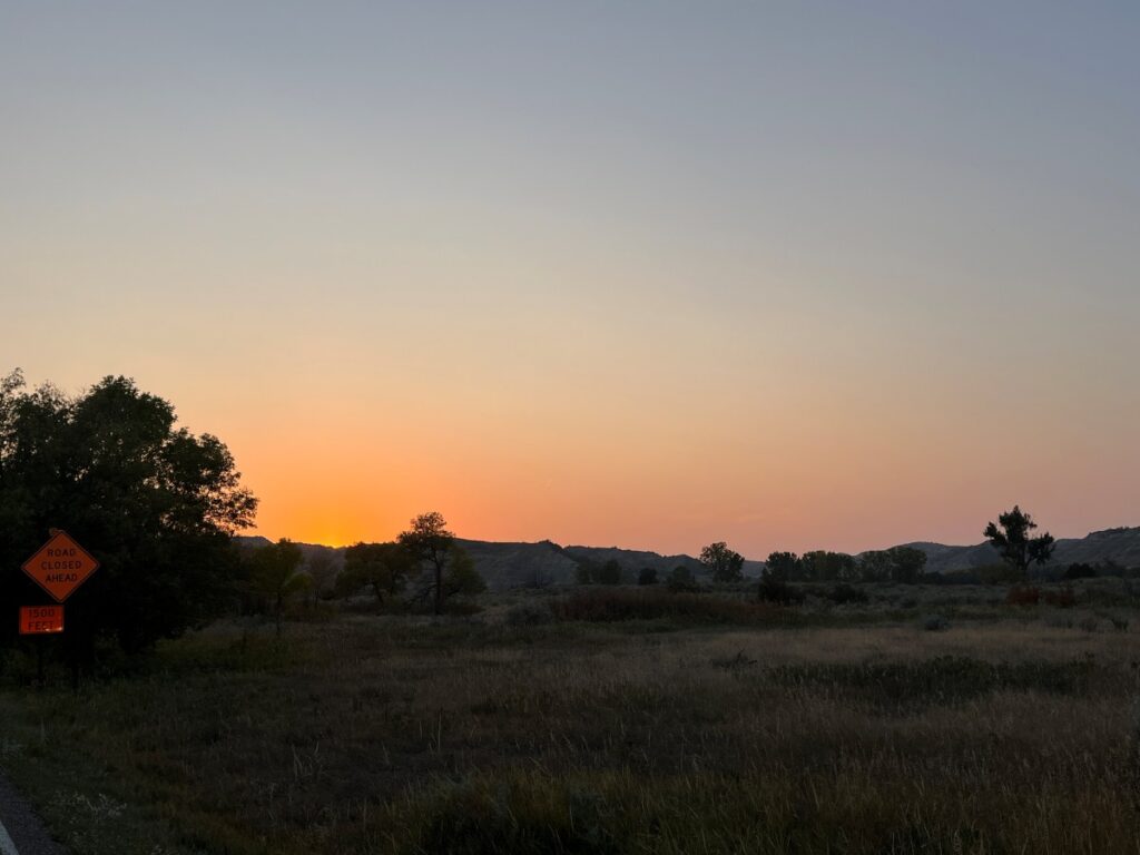 Sunset with red sky and tree shadows
