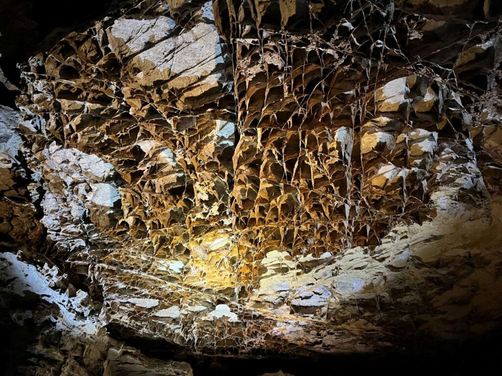 Boxwork example in Wind Cave National Park